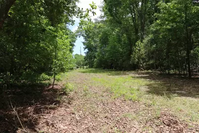 1091 Pine Grove Road, Leesville, SC 29070 - Photo 2