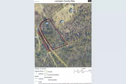 1091 Pine Grove Road, Leesville, SC 29070 - Photo 4