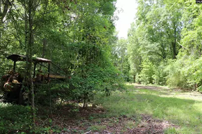 1091 Pine Grove Road, Leesville, SC 29070 - Photo 6