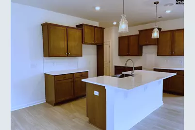 908 Fire Island Road, Blythewood, SC 29016 - Photo 10