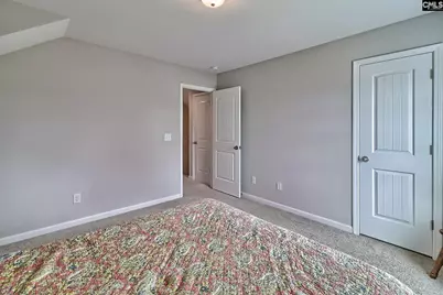 435 Crassula Drive, Lexington, SC 29073 - Photo 26