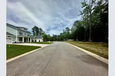 823 Elms Spinney Lane #105, Chapin, SC 29036 - Photo 4
