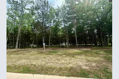 823 Elms Spinney Lane #105, Chapin, SC 29036 - Photo 2