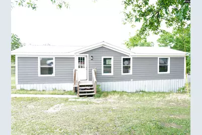 261 Wild Meadows Drive, Gaston, SC 29053 - Photo 1