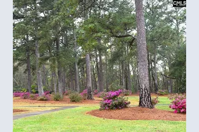 6530 Davidson Road L7, Columbia, SC 29209 - Photo 4