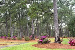 6530 Davidson Road L7, Columbia, SC 29209 - Photo 4