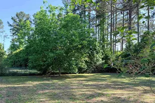 72 Favor Rd, Camden, SC 29020 - Photo 42