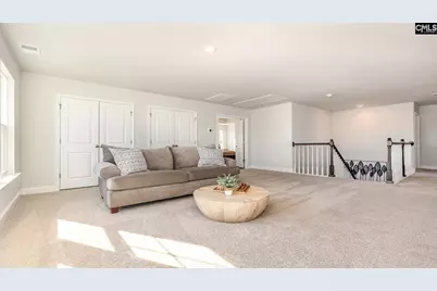 233 Livingston Woods Drive, Irmo, SC 29063 - Photo 26