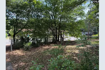 7441 Claudia Drive, Columbia, SC 29223 - Photo 6