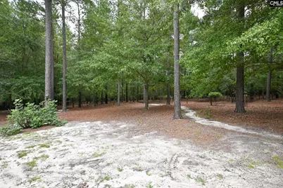 707 Mt Ebal Road, Batesburg, SC 29006 - Photo 48
