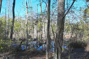 707 Mt Ebal Rd, Batesburg, SC 29006 - Photo 10