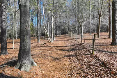 707 Mt Ebal Road, Batesburg, SC 29006 - Photo 6