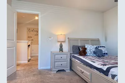 2430 Morning Glory Trail, Lexington, SC 29073 - Photo 14