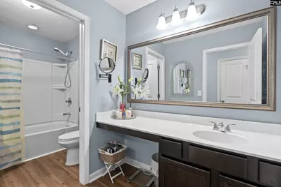 228 Congaree Mill Lane, West Columbia, SC 29169 - Photo 24