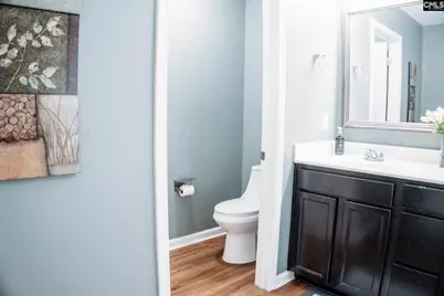 228 Congaree Mill Lane, West Columbia, SC 29169 - Photo 22