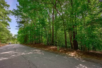 128 Holly Ridge Lane, West Columbia, SC 29169 - Photo 82