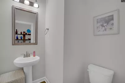 788 Xander Way, Chapin, SC 29036 - Photo 30