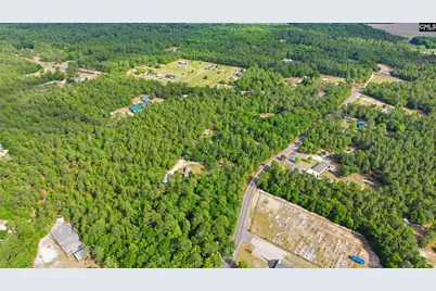 1729 Windy Wood Road, Pelion, SC 29123 - Photo 30