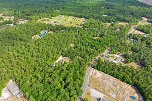 1729 Windy Wood Rd, Pelion, SC 29123 - Photo 30