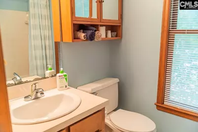142 Cheshire Drive, Columbia, SC 29210 - Photo 18