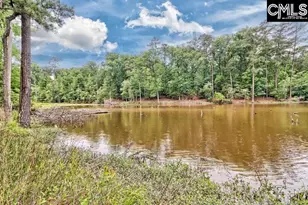 234 Winterberry Loop, Lexington, SC 29072 - Photo 40