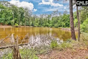 234 Winterberry Loop, Lexington, SC 29072 - Photo 38