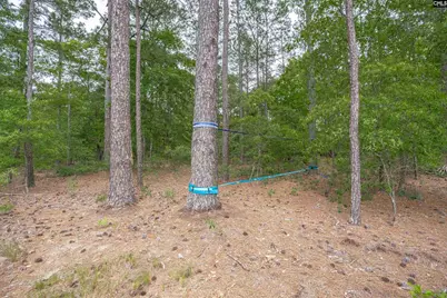 1904 Jim Spence Road, Lexington, SC 29073 - Photo 42