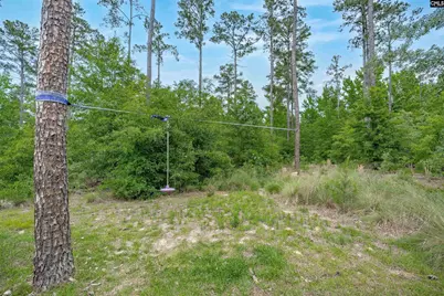 1904 Jim Spence Road, Lexington, SC 29073 - Photo 44