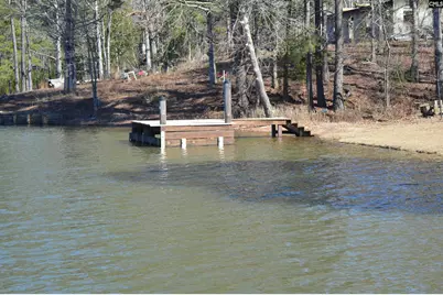 2242 Singleton Creek Road, Liberty Hill, SC 29074 - Photo 12