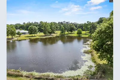 228 Shady Springs Road, Prosperity, SC 29127 - Photo 54