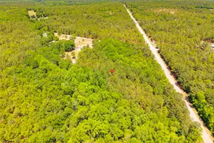 1939 Hwy 601 S, Lugoff, SC 29078 - Photo 4