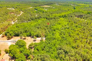 1939 Hwy 601 S, Lugoff, SC 29078 - Photo 6