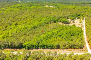 1939 Hwy 601 S, Lugoff, SC 29078 - Photo 2