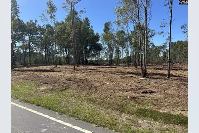 00 Sc Hwy 773 Highway, Pomaria, SC 29126 - Photo 2