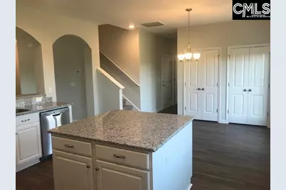1342 Tamarind Lane, Chapin, SC 29036 - Photo 6