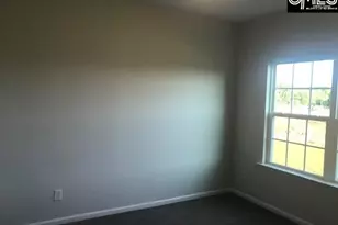 1342 Tamarind Ln, Chapin, SC 29036 - Photo 10