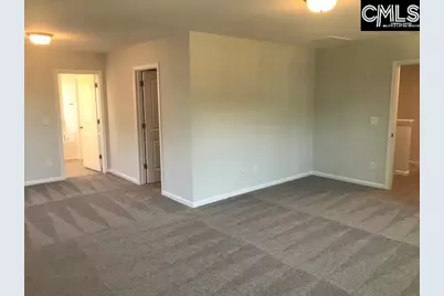 1342 Tamarind Lane, Chapin, SC 29036 - Photo 16