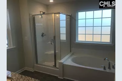 1342 Tamarind Lane, Chapin, SC 29036 - Photo 18