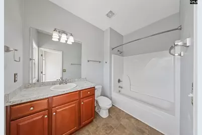 217 Lakewood Drive, Chapin, SC 29036 - Photo 12