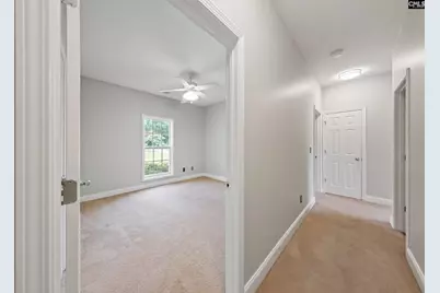 217 Lakewood Drive, Chapin, SC 29036 - Photo 8