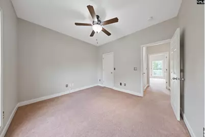 217 Lakewood Drive, Chapin, SC 29036 - Photo 16