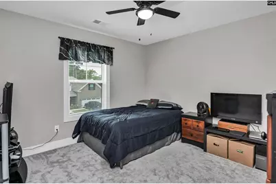 191 Collins Cove Drive, Chapin, SC 29036 - Photo 28