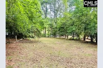 1179 Lake Drive #224, Leesville, SC 29070 - Photo 1