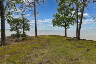 1441 Old Chapin Road, Lexington, SC 29072 - Photo 34