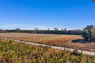 1745 Williams Hill Road, Hemingway, SC 29954 - Photo 2