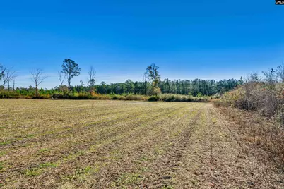 1745 Williams Hill Road, Hemingway, SC 29954 - Photo 12