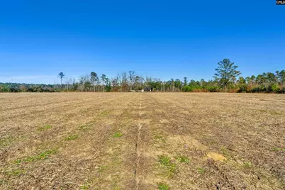 1745 Williams Hill Road, Hemingway, SC 29954 - Photo 14