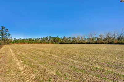 1745 Williams Hill Road, Hemingway, SC 29954 - Photo 10