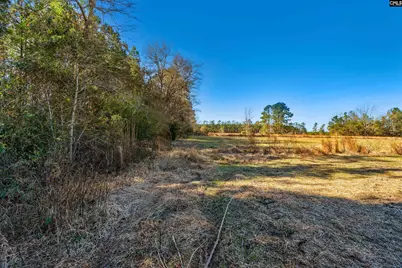 1745 Williams Hill Road, Hemingway, SC 29954 - Photo 18