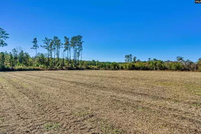 1745 Williams Hill Road, Hemingway, SC 29954 - Photo 16